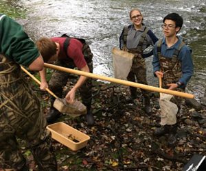 Students work with nets in a pond