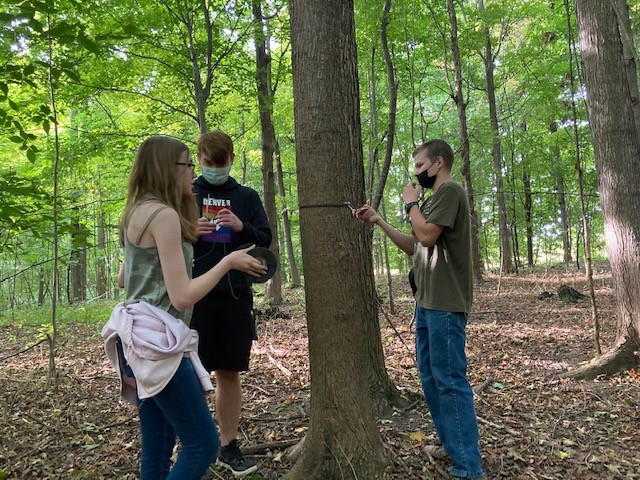 Students stand in front of a tree outside as they work on a project