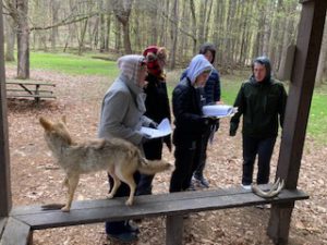 Students participate in regional envirothon