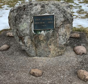 A plaque at Weedsport's football field dedicated to Eddy Goodwin. 