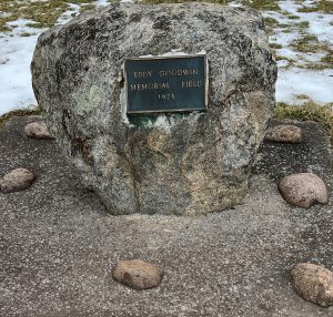 A plaque at Weedsport's football field dedicated to Eddy Goodwin. 