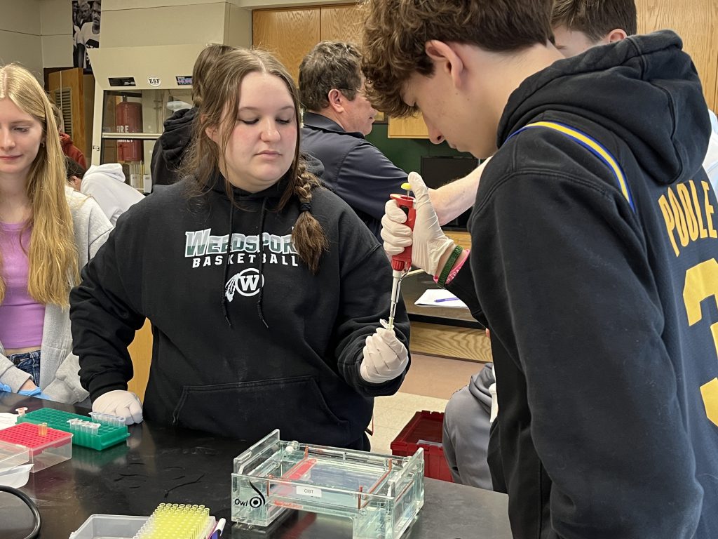 Tenth grade students participate in a DNA Electrophoresis lab.