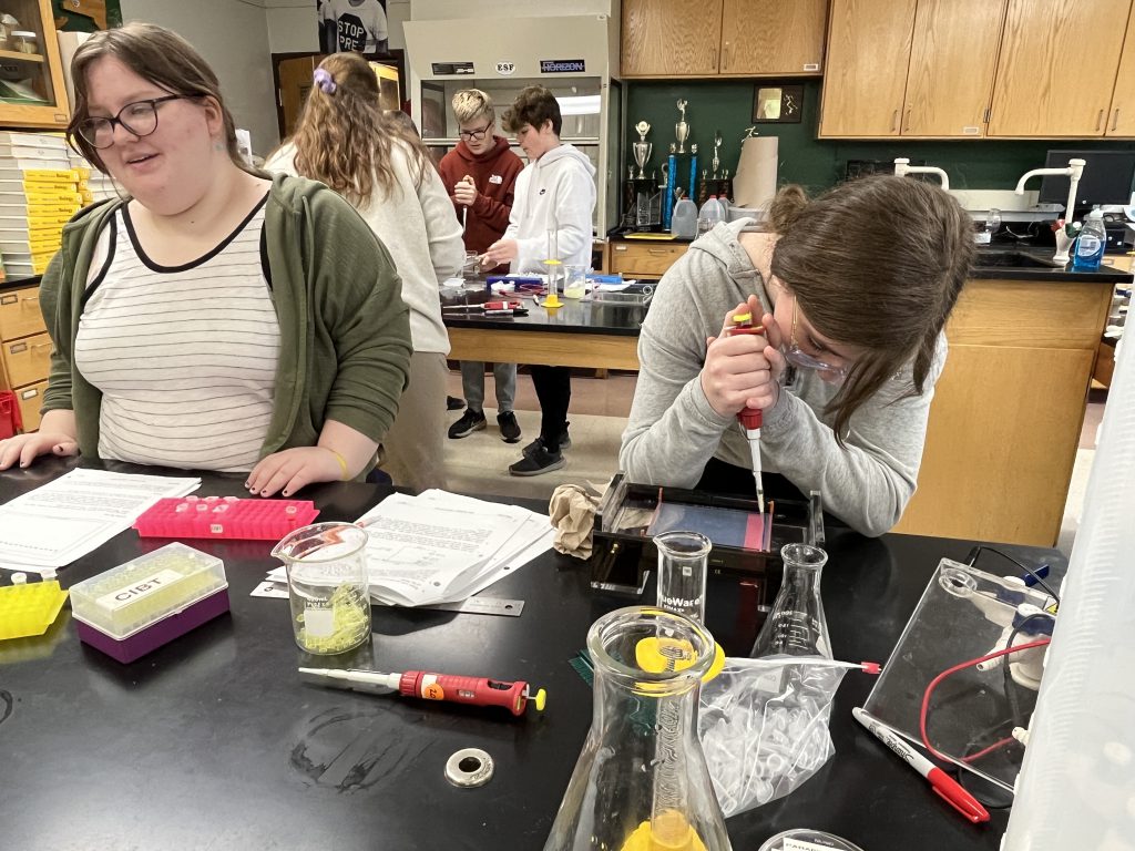 Tenth grade students participate in a DNA Electrophoresis lab.