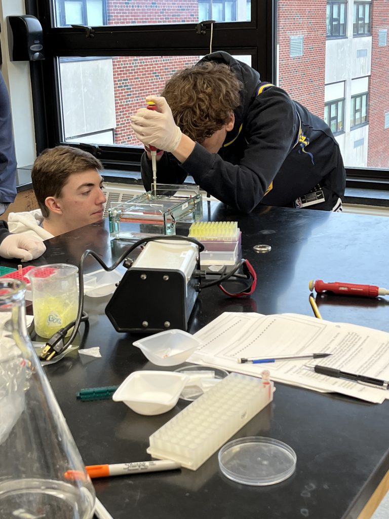 Tenth grade students participate in a DNA Electrophoresis lab.