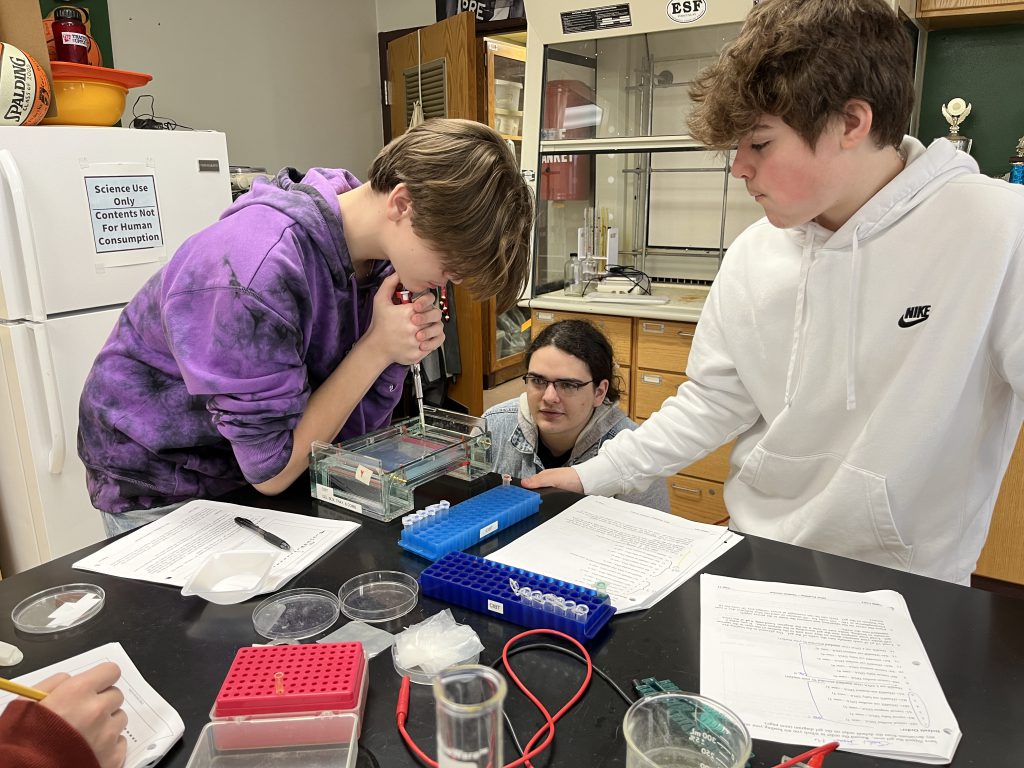 Tenth grade students participate in a DNA Electrophoresis lab.